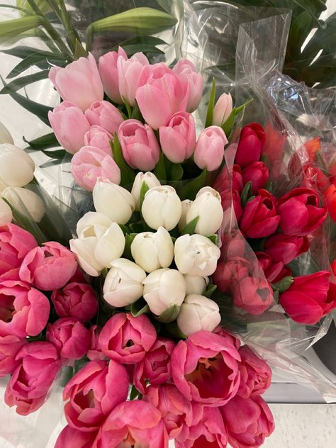 pretty pink, red, & white tulips i saw at target today🤍💐 Red Roses And Tulips Bouquet, Red And White Tulips, Pink And White Tulips, Red Tulips Bouquet, Pink Tulips Aesthetic Bouquet, Pale Pink Tulips, Pink Tulips Computer Wallpaper, Red And Pink Tulips, Colorful Photography