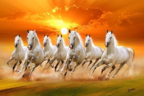 Seven Horses Painting Hd, Seven Horses Wallpaper Hd, Ghoda Horse, Seven Running Horses Wallpaper, 7horses Wallpaper, 7 Horses Running Painting Vastu Hd, Seven Horses Painting Vastu, 7 Horses Running Painting Vastu, 7 Horses Running Painting