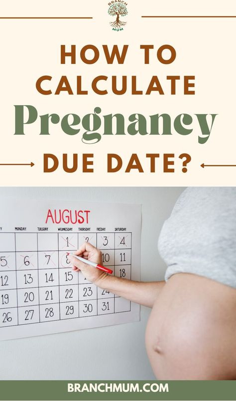 Calculating your pregnancy due date is an important first step in your journey to becoming a parent. There are a number of different methods that you can use to calculate your due date, and each has its own advantages and disadvantages. The most important thing to remember is that your due date is an estimation, and your baby will come when it is ready.Want to find out when you are due? Read on! Pregnancy Date, Pregnancy Due Date Calculator, Due Date Calculator, Pregnancy Due Date, Baby Due Date, Free Advice, Advantages And Disadvantages, Everything About You, Due Date