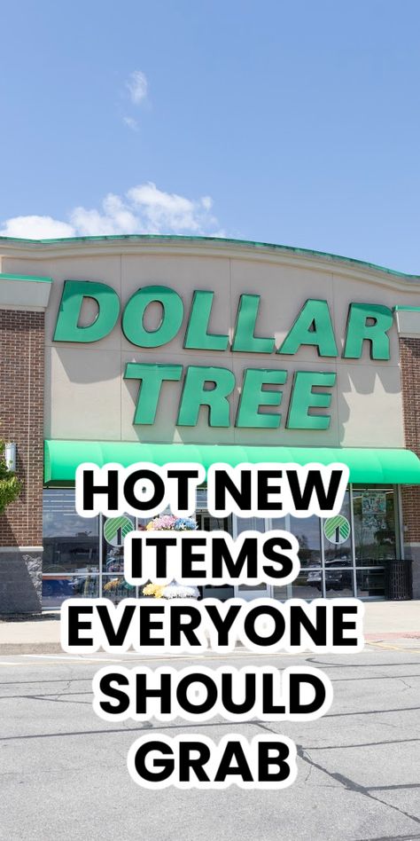 5 New Dollar Tree Items That Are So Good, I'm Buying Some for Everyone I Know Firehouse Subs, Dollar Tree Hacks, Family Dollar, Dollar Tree Finds, Places To Shop, Diy Dollar Store Crafts, Dollar Tree Store, Worst Day, Halloween News