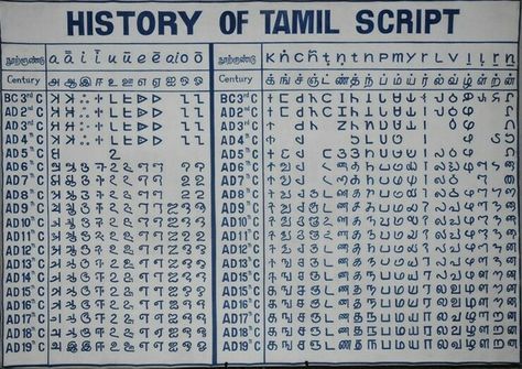 History Tamil Script, Tamil Grammar, Tamil History, Brahmi Script, Tamil Font, Baby Buddha, Tamil Motivational Quotes, Language Quotes, Tamil Language