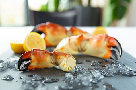 Stone Crab Season Kicks Off on October 15 — Here's Where to Taste the Famous Claws Pasta Crab Salad, Crab Melts, Crab Gumbo, Crispy Crab Cakes, Crab Casserole, Lump Crab Cakes, Crab Pasta, Spicy Crab, Crab Bisque