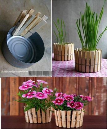 Kerajinan Diy, Gubahan Bunga, Diy Flores, نباتات منزلية, Plant Pot Diy, Fleurs Diy, Cheap Flowers, Deco Nature, Diy Flower Pots