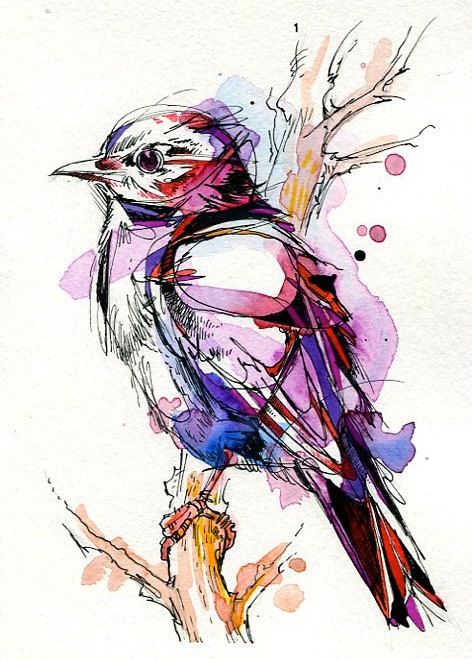 Drawing Faces, Desenho Tattoo, 수채화 그림, Art Et Illustration, Arte Animal, Watercolor Bird, Little Bird, A Drawing, Watercolor And Ink