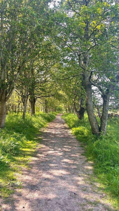 #summer #summerwalks #nature #walks #forest #aurgh Walks In Nature Aesthetic, Walking Asthetic Pic, Summer Walks Aesthetic, Going On Walks Aesthetic, Nature Walks Aesthetic, Walking Asethic, Forest Walk Aesthetic, Nature Walk Aesthetic, Morning Walks Aesthetic