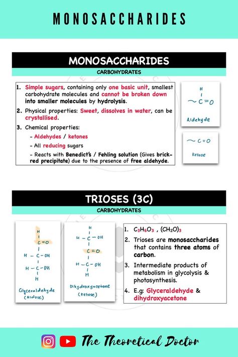 Explanation on monosaccharides and trioses (3C). Monosaccharides Foods, Monosaccharides Structure, Carbohydrates Structure, Carbohydrates Biology, Biochemistry Notes, Study Resources, Aesthetic Captions, Physical Properties, Med School