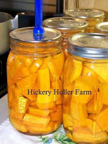 Canning Butternut Squash, Canning Squash, Fermenting Recipes, Homestead Cooking, Preserving Recipes, Food Canning, Pressure Canning Recipes, Canning 101, Canning Fruit