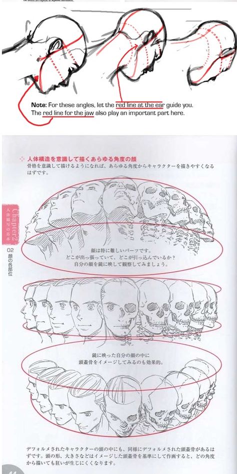 Lots of head angle reference, click to see more. Posing Anatomy, Head Angle Reference, Angle Reference, How To Draw Anime, Drawing Heads, 얼굴 그리기, Desen Anime, Draw Anime, Drawing Studies