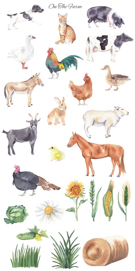 Farm animals - watercolor set by Visual Animal on @creativemarket Farm Animals Doodle, Farm Animal Watercolor Paintings, Paint Farm Animals, Watercolour Farm Animals, Farm Animal Watercolor, Farm Watercolor Paintings, Drawings Of Farm Animals, Goat Illustration Cute, Farm Animal Drawings