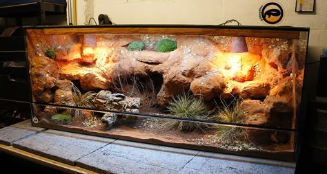 Bearded Dragon Setup, Bartagamen Terrarium, Diy Bearded Dragon Enclosure, Bearded Dragon Vivarium, Bearded Dragon Terrarium Ideas, Bearded Dragon Diy, Bearded Dragon Terrarium, Dragon Pet, Bearded Dragon Enclosure