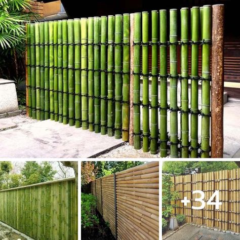 House Design - 34 Beautiful "Bamboo Fence" Ideas for... Bamboo Fence Design Ideas, Bamboo Fence Garden, Bamboo Fence Design, Bamboo Fence Ideas, Bamboo Privacy Fence, Bamboo Garden Fences, Cordwood Homes, Bamboo Privacy, Bamboo Diy