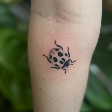 Last Bug Tattoo, Lady Beetle Tattoo, Fine Line Bug Tattoo, Small Insect Tattoo, Fine Line Ladybug Tattoo, Uwu Tattoo, Simple Bug Tattoo, Little Bug Tattoo, Small Bug Tattoo