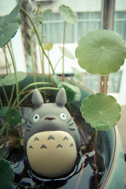 Clay Totoro, Totoro Clay, Cocoppa Wallpaper, Neighbor Totoro, Studio Ghibli Art, Ghibli Art, Ghibli Movies, Howls Moving Castle, Kawaii Shop