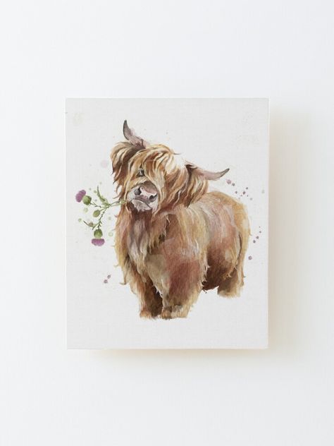 Hiland Cow Painting Easy, Long Hair Cow Painting, Highland Cow Watercolour Paintings, Watercolour Highland Cow, Highland Cow Tattoo Ideas, Highlander Tattoo, Highland Cow Tattoo With Flowers, Baby Cow Drawing, Fluffy Cow Drawing