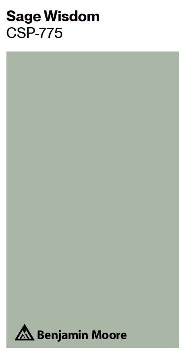 Benjamin Moore Sage Wisdom paint color swatch. Sage Wisdom Paint, Sage Green Paint Colors Benjamin Moore, Green Paint Colors Benjamin Moore, Benjamin Moore Green, Sage Wisdom, Sage Green Paint Color, Light Green Paint, Paint Color Swatches, Dark Green Bathrooms