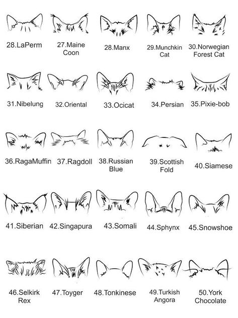 cat tattoo design cat tattoo simple cat tattoo designs tattoo ideas small tattoo tattoo finger tattoo back tattoo women cat small tattoo ideas minimalist tattoo best friends tattoo couples tattoo animal tattoo simple tattoo pretty tattoo unique tattoo neck tattoo women baddie tats arm sleeve victorian tattoo vintage Cat Head Pattern Tattoo, Tattoos For Cat Owners, Cat Tattoo With Name, Cat Lineart Tattoo, Cat Name Tattoo, Cat Tattoo Designs Memorial, Cat Pattern Tattoo, Cat Memorial Tattoo Small, Memorial Cat Tattoos