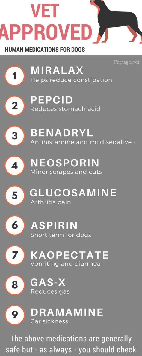 Commands For Dogs, Vet Tech Tips And Tricks, Vet Tech Knowledge, Vet Infographics, Common Veterinary Medications, Veterinary Infographics, Dog Stuffed Animals, Dog Training Commands, Vet Tech School