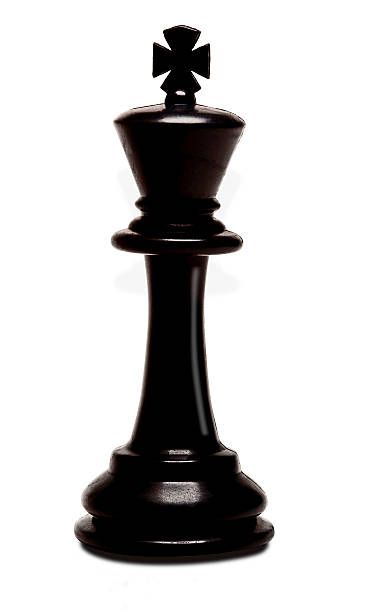 3d Chess Pieces, King Piece Chess, King In Chess, Black King Chess Piece, Chess Pictures, Chess King Piece, King Chess Piece, King Chess, Knight Chess