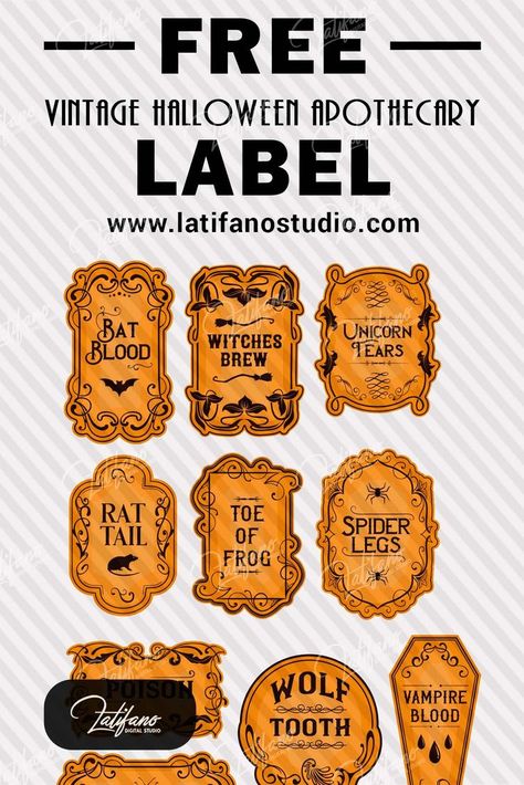 You can use the captivating vintage Halloween art to achieve an enchanting antique apothecary aesthetic or create a chilling poison potion recipe. Let your creativity run wild this Halloween season! Free Halloween Printables Vintage, Halloween Labels Free, Vintage Halloween Printables, Halloween Apothecary Labels, Halloween Bottle Labels, Halloween Apothecary, Apothecary Labels, Halloween Printables Free, Halloween Bottles