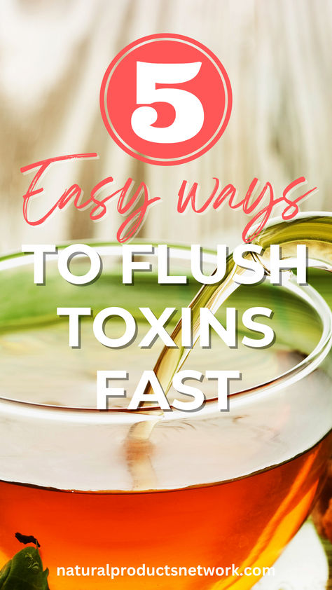 5 EASY WAYS TO FLUSH TOXINS FAST Cleansing Your Body Of Toxins, Body Toxin Cleanse, Cleansing Body Of Toxins, Natural Body Detox Cleanse, Toxin Detox Cleanse, Flush Toxins From Body Cleanses, How To Cleanse Your Body Of Toxins, Remove Toxins From Body At Home, How To Detox Your Body From Toxins