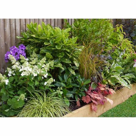 Small Front Garden Ideas, Shady Border, Garden Ideas Uk, Backyard Flowers Garden, Shade Garden Design, Small Front Gardens, Narrow Garden, Drought Tolerant Garden, Budget Garden