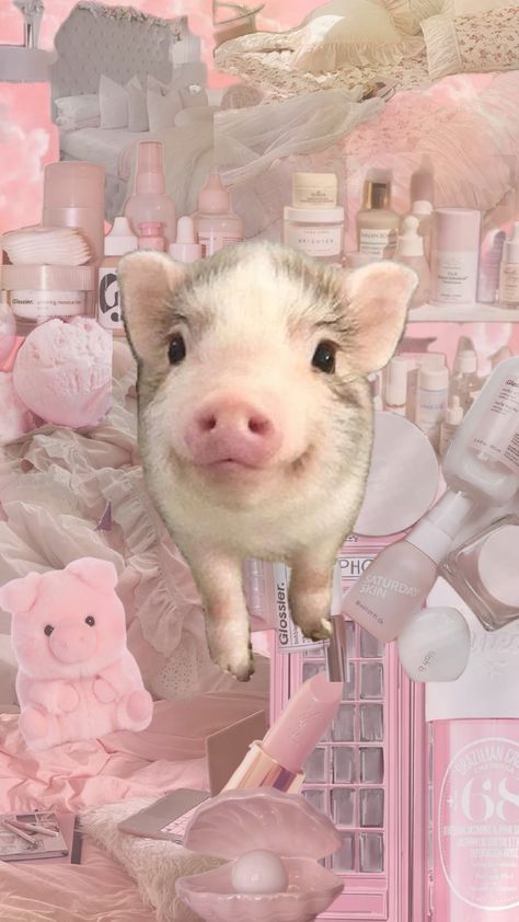 Zepeto Background Aesthetic School, Pig Aesthetic Wallpaper, Cute Pig Wallpaper, Pig Background, Pig Aesthetic, Preppy Peppa, Baby Piglet, 3 Pigs