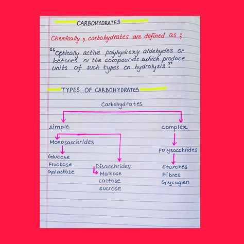 Simple Complex, Animal Classification, Science Notes, Biology Notes, School Notes, Biology, Science, Diet, Songs