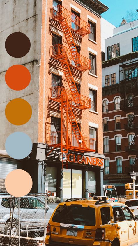 Brooklyn Color Palette, New York Colour Palette, New York City Color Palette, Nyc Color Palette, New York Color Palette, City Colour Palette, City Color Palette, Urban Color Palette, Bright Color Pallets