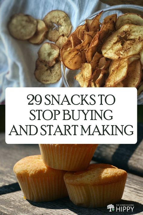 If you don't like to cook but want to eat homemade, these quick snacks recipes are something anyone can make #recipe Homemade School Snacks, Frugal Snacks, Easy Homemade Snacks, Homemade Snacks Recipes, Diy Healthy Snacks, Healthy Homemade Snacks, Homemade Foods, Natural Snacks, Homemade Pantry