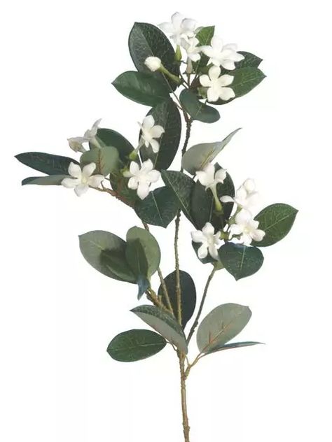 Artificial Stephanotis White Height 71cm | Pavilion Broadway Marble Cake Stand, Florist Supplies, Silk Flowers Wedding, Flower Lights, Flowers Online, Large Vase, Faux Plants, Blooming Flowers, Faux Flowers