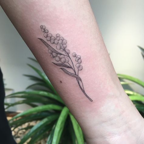 Little wattle sprig for June 🌿✨#wattle #tattoo #flowertattoo #australianflora #wattletattoo #blackink #blackwork #iblackwork #blackink #tattooinspiration #smalltattoo #lineworktattoo #dotworktattoo #australiantattooing #canberra Wattle Tattoo, Acacia Flower, Sunflower Tattoo Thigh, Sunflower Tattoo Simple, Symbols Of Strength Tattoos, Mum Tattoo, Inspo Tattoo, Sunflower Tattoo Sleeve, Sunflower Tattoo Shoulder