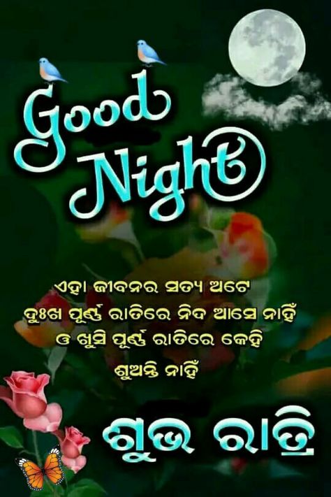 Odia Shayari, Odia Quotes, Good Night Shayari, Night Shayari, Good Night Sweet Dreams, Night Quotes, Good Night Quotes, Good Night, Krishna