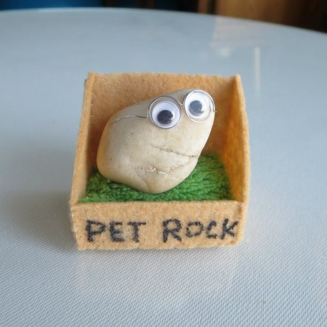 Small Stones Crafts, Rock Pet Ideas, Pet Rock Ideas Diy, Diy Gifts Family, Pet Rock House, Easy Craft Ideas To Sell, Small Stone Art, Diy Things To Make And Sell, Pet Rock Ideas