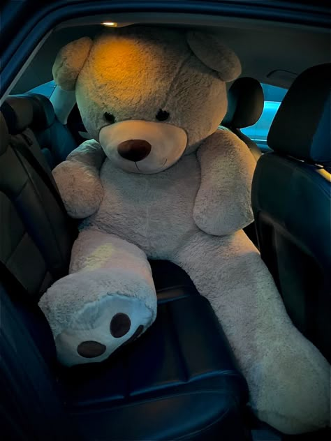 Cute Soft Toys, Large Teddy Bear, Big Teddy Bear, Giant Teddy Bear, Teddy Bear Wallpaper, Big Teddy, Giant Teddy, Soft Teddy Bear, Cute Stuffed Animals