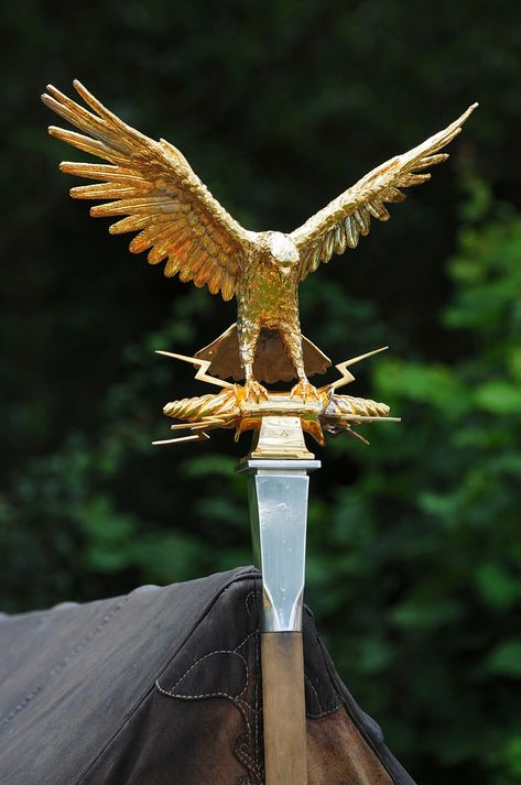 Aquila - Roman Imperial Gold Eagle Standard Pax Romana, Camp Jupiter, Roman Warriors, Roman Legion, Theme Tattoo, Rome Antique, Grece Antique, Ancient Warfare, Roman Soldiers