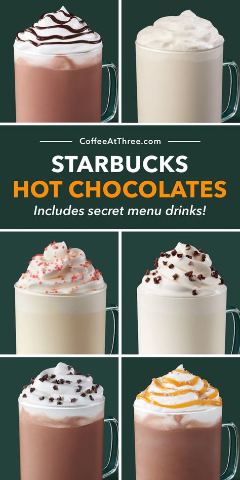 12 Starbucks Hot Chocolates (Includes Secret Menu Drinks) Starbucks Hot Chocolate Copycat, Starbucks Hot Chocolate Secret, Hot Starbucks Secret Menu Drinks, Secret Starbucks Recipes Hot Coffee, Starbucks Frozen Hot Chocolate, Starbucks Sweet Hot Drinks, Starbucks Hot Chocolate Drinks, Starbucks Peppermint Hot Chocolate, Hot Non Coffee Starbucks Drinks