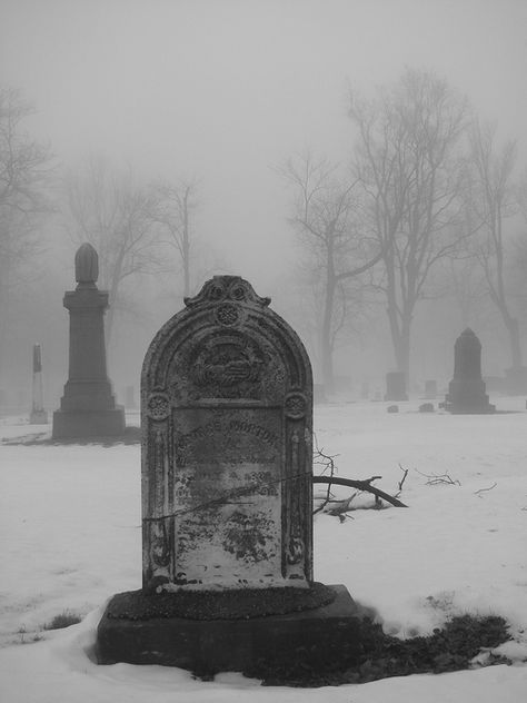 Dark Cemetery Aesthetic, Dead Aesthetic Pictures, Blythe Aesthetic, Demonic Art, Haunting Aesthetic, Old Cemetery, Vampire Aesthetic, Cemetery Headstones, Old Cemeteries