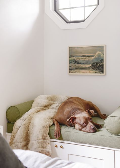 Embrace your funny little nooks by building your own window seat with built-in storage! Cushion and bolster pillows done in Sunbrella Heritage Leaf by Patio Lane. Barkitecture Ideas, Dog Bed With Storage, Built In Dog Bed, Dog Nook, Dog Bed Storage, Raised Dog Beds, Pallet Dog Beds, Dog Lounge, Pet Room