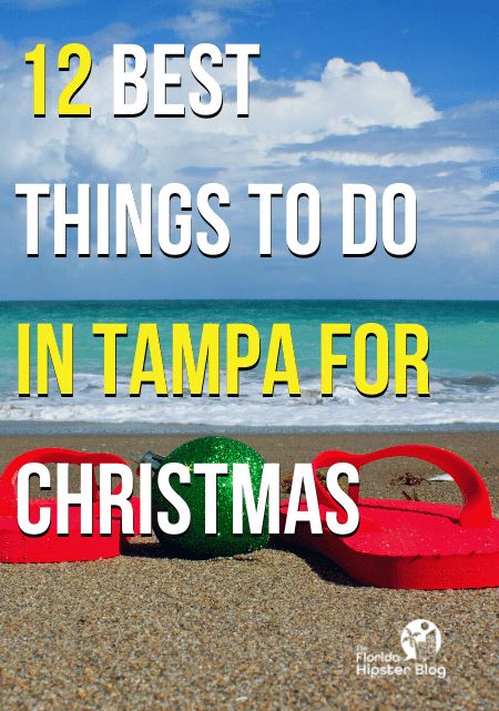 Tampa Florida Things To Do In December, Christmas In Tampa Florida, Tampa Florida Things To Do In, Busch Gardens Christmas Town, Florida In December, Christmas Florida, Christmas Trips, Things To Do In Tampa, Tampa Riverwalk