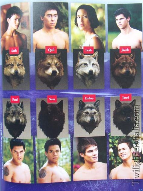 Twilight Wolf Pack, Jacob Black Twilight, Twilight Facts, Twilight Jacob, Xavier Samuel, Twilight Wolf, Billy Burke, Twilight Quotes, Twilight Saga Series