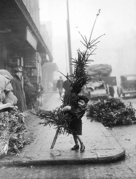 Snowy Wonderland, Spitalfields Market, Vintage Christmas Photos, Christmas Window Display, Santa Photos, Xmas Trees, Christmas Tree Shop, Old Christmas, Going On Holiday