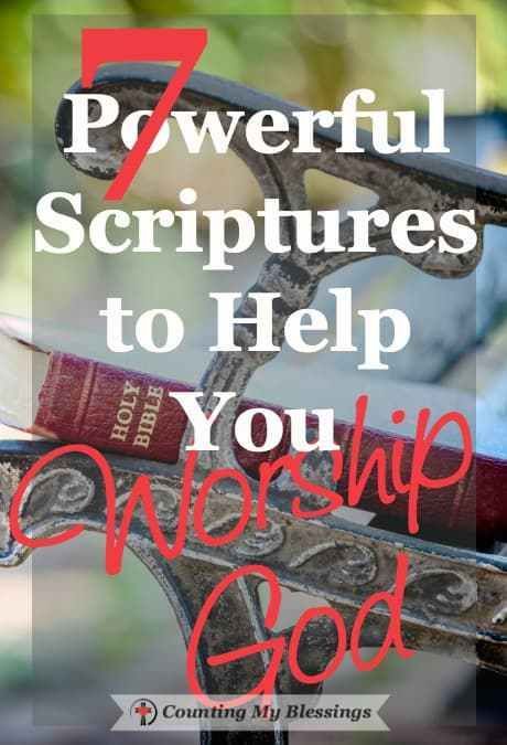 24/7 worship comes from a completely surrendered and thankful life. These 7 Scriptures will help you worship when life makes the words hard to find. Worship Scripture, Worshiping God, God Worship, Woord Van God, Worship Quotes, Deliverance Prayers, Walk Outside, Verse Mapping, Bible Study Help