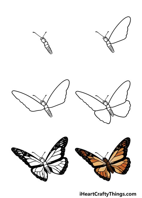 Monarch Butterfly Drawing - How To Draw A Monarch Butterfly Step By Step Draw Monarch Butterfly, Butterfly Drawing Reference, Monarch Butterfly Sketch, Monarch Drawing, Draw A Monarch Butterfly, Butterfly Drawing Images, Monarch Butterfly Drawing, Painting Clipart, Monarch Butterflies Art