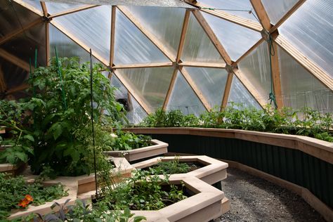 42 Foot Growing Dome Greenhouse Kit — Arctic Acres - Geodesic Growing Dome Greenhouses Growing Dome Greenhouse, Geo Dome Greenhouse, Modern Greenhouse Design, Geodome Interior, Cafe Greenhouse, Hexagon Building, Geodome Greenhouse, Growing Dome, Greenhouse Dome