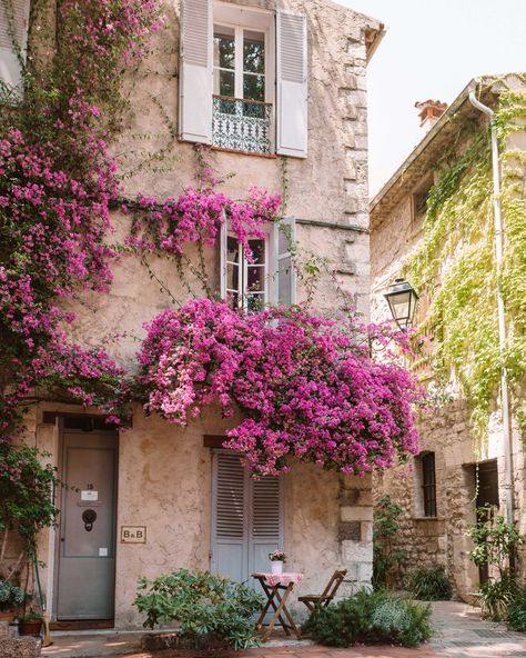 Flower covered walls in Antibes French Riviera | Heading to the south of France? This French Riviera guide covers all the best towns to see along the coast, including Menton, Nice, and lesser-known Villefranche-Sur-Mer, as well as beaches and restaurant recommendations. Next stop: Cote d’Azur! Click to read. #finduslost #frenchriviera #theprettycities #cannes #antibes #nice #villefranche South Of France Flowers, French Flower Market Aesthetic, House Full Of Flowers, French Garden Ideas Provence France, France Flowers, Case In Stile Country, French Town, Antibes France, Villefranche Sur Mer