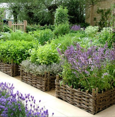 15 Unique and Beautiful Container Garden Ideas - Sanctuary Home Decor Raised Bed Herb Garden, Herb Garden Planter, Outdoor Herb Garden, Herb Gardens, Herb Garden Design, Garden Vines, Vegetable Garden Design, Raised Bed, Chelsea Flower Show