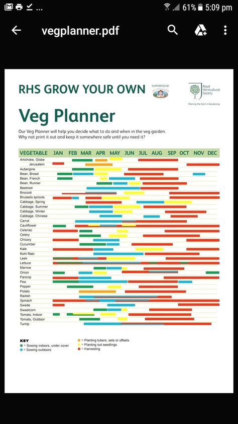 gardening gardeninghacks gardeningtips Veg Growing In Small Gardens, When To Plant Vegetables Uk, Growing Vegetables Uk, Veg Patch Ideas Layout, Vegetable Garden Uk, Easy Veg To Grow Uk, Vegetable Patch Design, Allotment Beginner Uk, Allotment Plan Layout