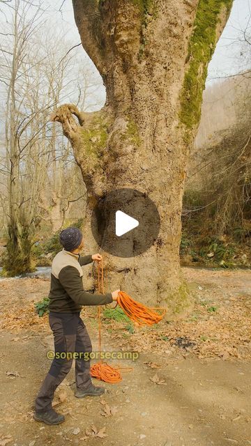 3.5M views · 33K likes | Soner Görse Camp on Instagram: "Rope Hack  #camping #outdoors #climbing  This knot is enough to tie a rope to a high place  Bu düğüm bir ipi yüksek bir yere bağlamaya yeter" Camping Rope, Climbing Knots, Camping Knots, Survival Knots, Sewing Machine Basics, Car Headrest, Knots Diy, Travel Essentials Men, Survival Life Hacks