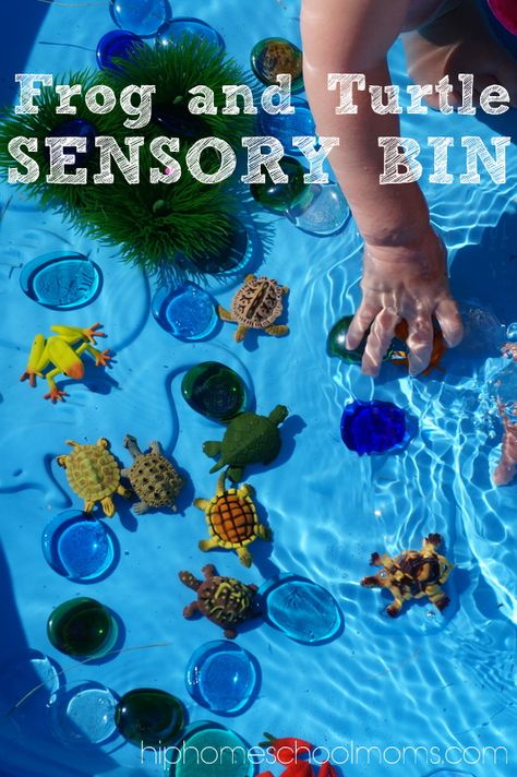 Turtle Sensory Activities, Turtle Sensory Bin, Pond Sensory, Themed Sensory Bins, Frog And Turtle, Pond Life Theme, Turtle Activities, Turtle Theme, Turtle Crafts