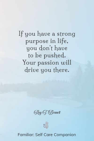 My Purpose In Life Quote, Life On Purpose Quotes, Soul Purpose Quotes, Purpose Driven Life Quotes, Quotes About Purpose, Passion Quotes Inspiration, Awakened Woman, Career Quotes Inspirational, Philosophical Words